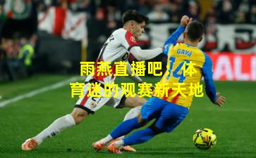 雨燕直播吧：体育迷的观赛新天地