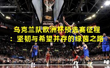 乌克兰队欧洲杯预选赛征程:坚韧与希望并存的绿茵之路