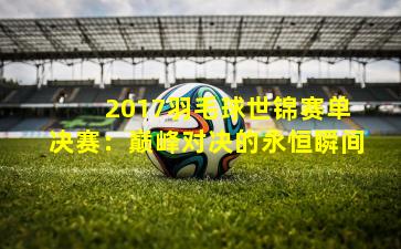  2017羽毛球世锦赛单决赛：巅峰对决的永恒瞬间