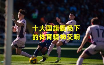 十大国旗飘扬下的体育精神交响